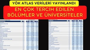 En Çok Tercih Edilen Flama Çeşitleri ve Kullanım Alanları Nelerdir? - Kapak Görseli