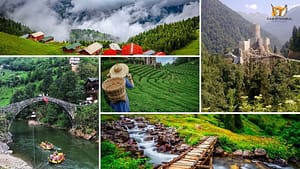 Rize’nin En Güzel Manzarasını Görebileceğiniz En Özel Noktalar Nereler? - Kapak Görseli