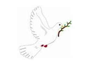 Zeytin Dalı Neden ve Nasıl Barış Sembolü Oldu? - Kapak Görseli