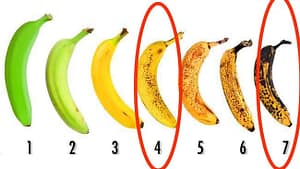 Muz Seçiminde Doğru Tercih: Kahverengi mi Sarı mı? (Kanıtlı İpuçları) - Kapak Görseli