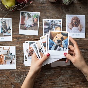 Pola Kart Fotoğraf Baskılarının Bilinmeyen Özellikleri ve Kullanım Alanları - Kapak Görseli