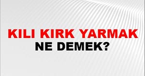 Kılı Kırk Yarmak Deyimi Nedir ve Hangi Durumlarda Kullanılır? - Kapak Görseli