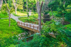 Piknik Alanı ve Mesire Alanı Arasındaki Fark Nedir? Merak Edilenler! - Kapak Görseli