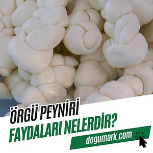Örgü Peynirinin Sağlığa Faydaları ve Bilmeniz Gerekenler - Kapak Görseli