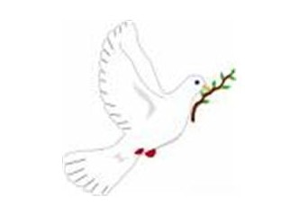 Zeytin Dalı Neden ve Nasıl Barış Sembolü Oldu? - Kapak Görseli