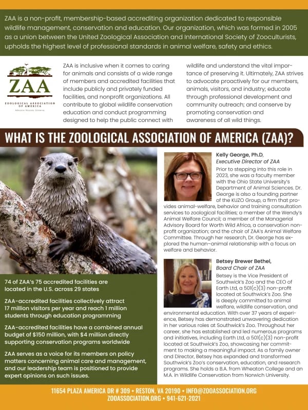 Zaa ne işe yarar? - Görsel 1